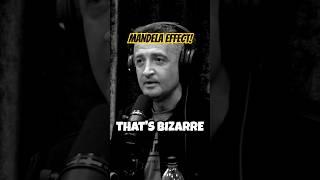 Does it ever get normal? No, no, no. | #joerogan #jre #podcast