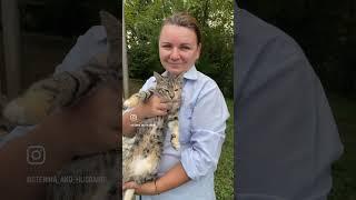 Грузия. Дом с фруктовым садом. Переезд из РФ.
