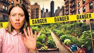 Community Gardens: What They Don't Tell You...