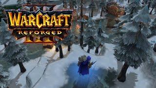 ЧТО ПРОИСХОДИЛО С АРТАСОМ ПОСЛЕ ВОЗМЕЗДИЯ НАД МАЛ'ГАНИСОМ? - Warcraft III: Reforged