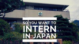 So you want to intern in Japan - Obubu Tea Farms