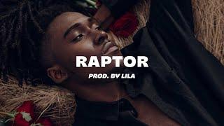 [FREE]Omah Lay x Ckay x Wizkid Afrobeat Type Beat - " RAPTOR " |Afrobeat Instrumental 2024