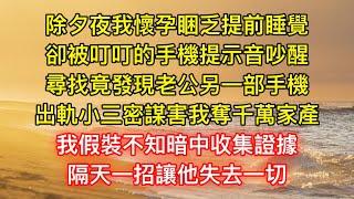 除夕夜我懷孕睏乏提前睡覺，卻被叮叮的手機提示音吵醒，尋找竟發現老公另一部手機，出軌小三密謀害我奪千萬家產，我假裝不知暗中收集證據，隔天一招讓他失去一切