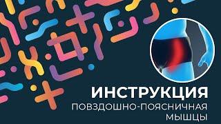 Kinexib - тейпирование повздошно-поясничной мышцы