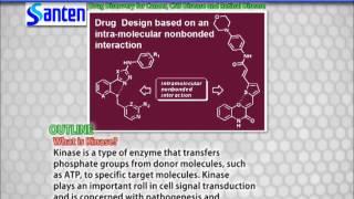 Functional Polymer Science 2013