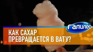 Галилео  Как сахар превращается в вату?