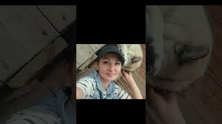 Ваши лайки и комментарии могут помочь бездомным животным найти себе хозяев #лайкэтошанс #приют
