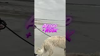 New Aesop Rock this Thursday 