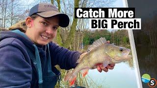 Catch More Big Perch From Commercials