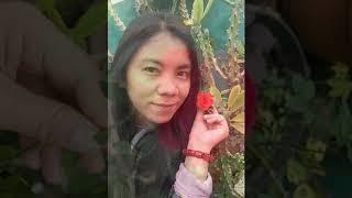 Calming and relaxing music with my own captured beautiful flowers/JING'sTV Jingjing Clavillas