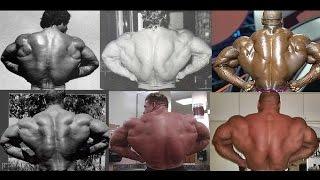 Best Rear Lat Spread Pose Of All Time!!!