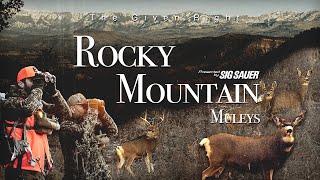 Rocky Mountain Muleys: Presented by Sig Sauer | Long Range Mule Deer Hunting in the High Country