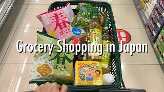 Grocery Shopping Trips in Japan  Compilation of Early March