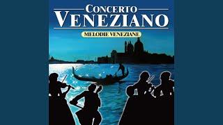 Il campanile di venezia