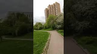 Пока  Тушки 