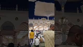 Step into serenity Masjid-e-Nabawi's breathtaking interior Golden details & timeless peace #madinah