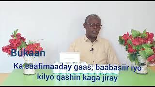 Dawada Tiens Iskaga Dawey Xannuunada Dilaaga ah Ee Ummadda Dhibay