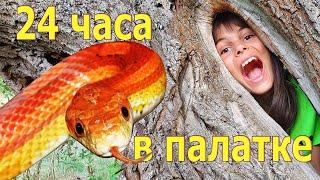 24 часа в палатке это не челлендж... Это мой летний лагерь!