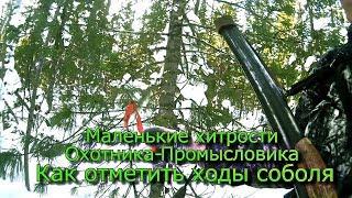 Маленькие Хитрости Охотника-Промысловика  Как отметить ходы соболя