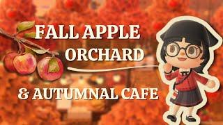 fall apple orchard & autumnal cafe | acnh speedbuild