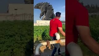 Godzilla is Back 