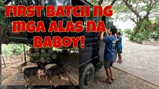 Preparasyon na kami para sa dec 24 | Dumating na ang first batch ng nakatagong baboy