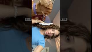I love this time of year! #foryou #trend #viralvideo #puppy