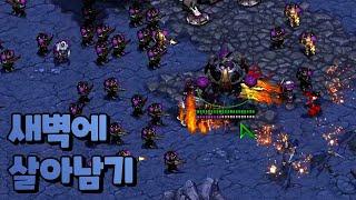【 새벽에 살아남기 】 바쁜 새벽 살아보자!! [스타크래프트 리마스터 유즈맵-Starcraft Remastered Use Map]