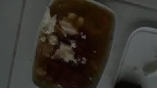 Kedi Maması