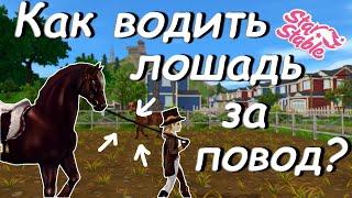 Как научить лошадь водить за повод? | Star Stable