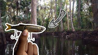 FLORIDA RIVER FISHING WITH SAVAGE GEAR GLIDEBAIT!