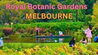 4K Walking Tour Royal Botanic Gardens Melbourne - The Nature's Paradise