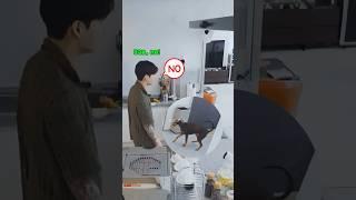 Jungkook's Reaction When Jeon Bam Pooped In The Kitchen  #shorts #jungkook #bam #bts