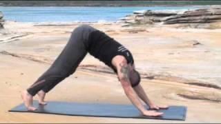 Dancing Warrior Yoga_Shoulder Strengthening.mov