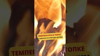 Какую температуру в топке печи дадут разные породы древесины #баня #банька #печьдлябани #печи