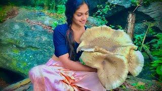 Village girl hunting & cooking the largest "Pork mushroom" from the mountains