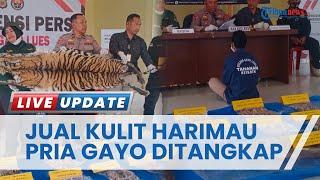 Kasus Jual Beli Kulit Harimau Sumatera di Gayo Lues Dibongkar, Polisi Juga Sita Tanduk Rusa