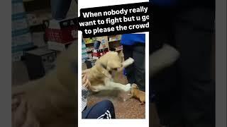 #when #both #dont #want #it