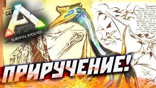 ARK: Survival Evolved. Вырубаем кетцаля с помощью крюка кошки