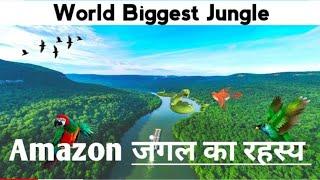 Amazon Rainforest | most dangerous jungle in the world | animals knowledge