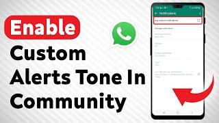 How To Enable Custom Notifications Tone In WhatsApp Community