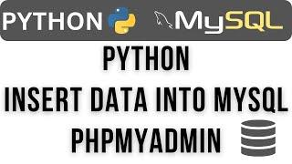 python user input values insert save into mysql phpmyadmin