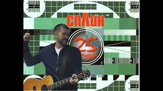 Пластмассовая жизнь - Сплин (кавер Виталий Подземный)