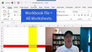 MS 365 Excel Basics #1 What is Excel?, Formulas, Functions, Formatting, Cell References & Page Setup