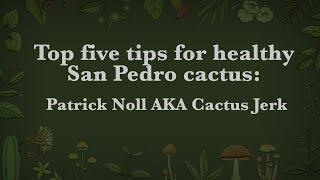 Top five tips for healthy San Pedro cactus: Patrick Noll