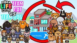 КОМАНДА КОШЕК ПРОТИВ СОБАК В ТОКА БОКА!   Toca Boca Life World