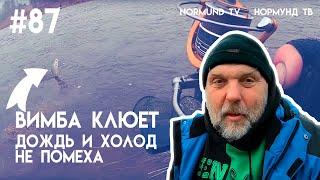 дождь и холод не помеха, если вимба клюёт на поплавок, отчёт Но87