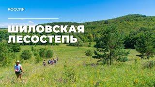 Шиловская лесостепь. Россия / Shilovskaya forest-steppe. Russia