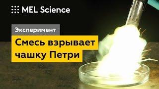 Смесь взрывает чашку Петри (Эксперимент «Дьявольская вспышка»)