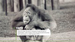 50 Years Of Conservation Science - Toronto Zoo Turns 50